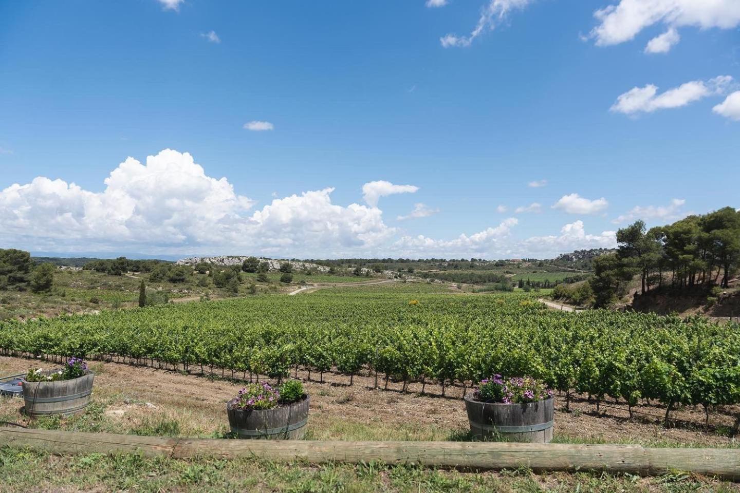 Chateau Catherine De Montgolfier B&B Et Gites Narbonne Exterior photo